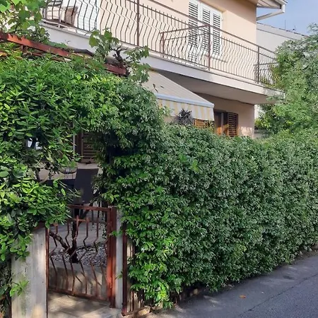 Oliver Appartement Novigrad Istria